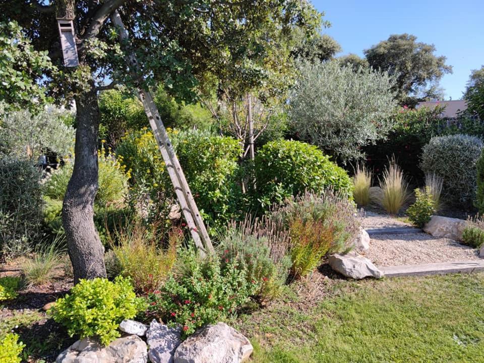 Bed and Breakfast La Mathilde Villeneuve-lès-Avignon Zewnętrze zdjęcie